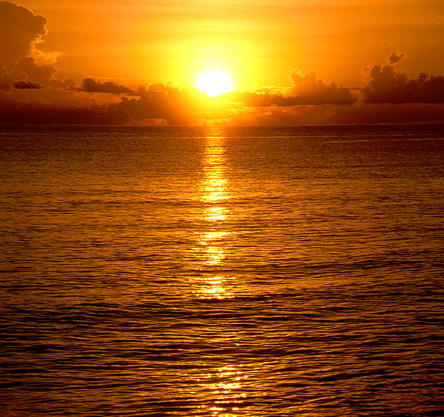 Sunset boat cruises in sarasota